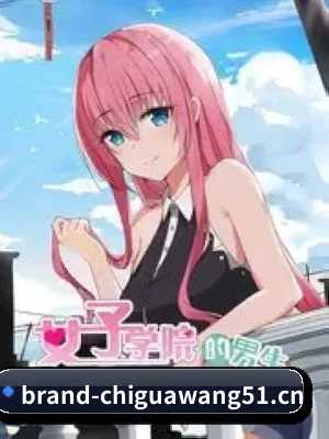🍉 关于我们 - 体育资讯内容服务