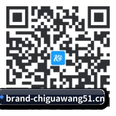 iOS 防封体系版 二维码